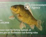 rod licence.jpg